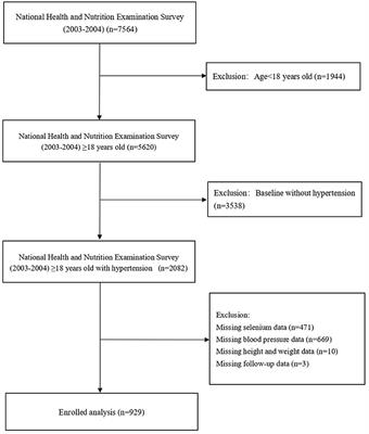 A U-Shaped Relationship Between Selenium Concentrations and All-Cause or Cardiovascular Mortality in Patients With Hypertension